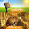 Luz Micro Led Solar Alambre X 10 unds - Imagen 6